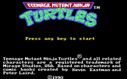 Teenage Mutant Ninja Turtles (PC)   © Konami 1990    1/28
