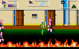 Teenage Mutant Ninja Turtles: The Arcade Game (PC)   © Konami 1991    2/17