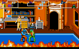 Teenage Mutant Ninja Turtles: The Arcade Game (PC)   © Konami 1991    3/17
