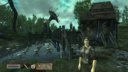 The Elder Scrolls IV: Shivering Isles (PC)   © Bethesda 2007    4/5