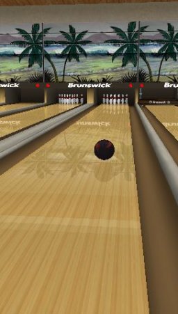 Brunswick Pro Bowling (PSP)   © Crave 2007    2/6