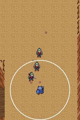 Wild Western (2007) (NDS)   © Majesco 2007    1/3