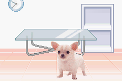 Pocket Dogs (GBA)   ©  2004    1/1