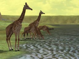 Wild Earth: Africa (PC)   © Ubisoft 2006    3/3