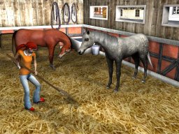 My Riding Stables (PC)   © Eidos 2008    2/3