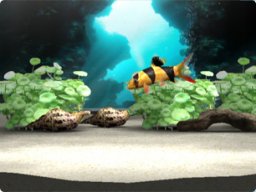 My Aquarium (WII) &nbsp; &copy; Hudson 2008 &nbsp;  2/3