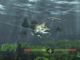 Rapala Fishing Frenzy 2009 (PS3)   © Activision 2008    2/4