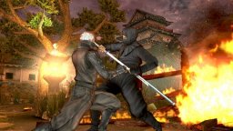 Tenchu: Shadow Assassins (WII)   © From Software 2008    2/3