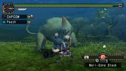 Monster Hunter Freedom Unite (PSP)   © Capcom 2008    8/8