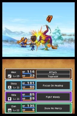 Dragon Quest IX: Defenders Of The Starry Sky (NDS)   © Square Enix 2009    2/9