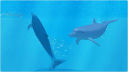 My Dolphin (WII) &nbsp; &copy; T&S 2009 &nbsp;  1/3