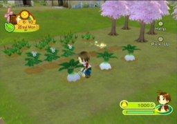 Harvest Moon: Animal Parade (WII)   © Natsume 2008    2/3