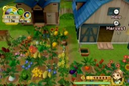 Harvest Moon: Tree Of Tranquility (WII)   © Marvelous 2007    1/3