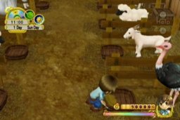 Harvest Moon: Tree Of Tranquility (WII)   © Marvelous 2007    2/3
