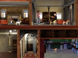 Hotel For Dogs (WII)   © 505 Games 2009    2/3