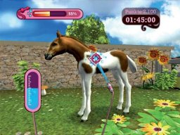 My Animal Centre (WII)   © Deep Silver 2009    1/3