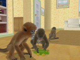 Petz: Monkey Madness (WII)   © Ubisoft 2009    1/3