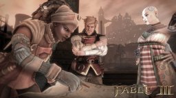 Fable III (X360)   © Microsoft Game Studios 2010    5/11