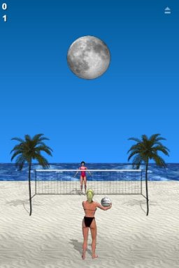 Beach Volleyball (2008) (IP)   © Chillingo 2008    1/3