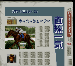 Classic Road II: Real Kouma Simulation (SNES)   © Victor 1995    3/3
