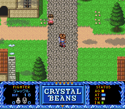 Crystal Beans: From Dungeon Explorer (SNES)   © Hudson 1995    2/3
