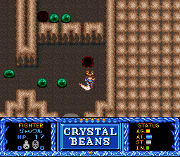 Crystal Beans: From Dungeon Explorer (SNES)   © Hudson 1995    3/3