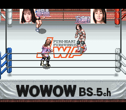 JWP Joshi Pro Wrestling: Pure Wrestle Queens (SNES)   © Jaleco 1994    2/3