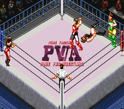 Super Fire Pro Wrestling: Queen's Special (SNES)   © Human 1995    3/3