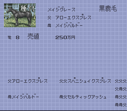 Super Keiba 2 (SNES)   © I'Max 1995    3/3