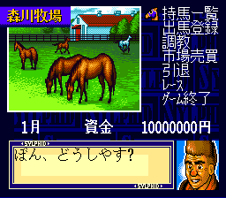 Super Kyousouba: Kaze No Sylphid (SNES)   © King Records 1993    2/3