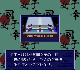 Super Wrestle Angels (SNES)   © Imagineer 1994    3/3