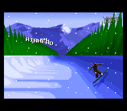 Winter Gold (SNES)   © Nintendo 1996    6/6