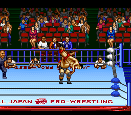 Zen-Nippon Pro Wrestling 2: 3-4 Budoukan (SNES)   © NCS 1995    3/3