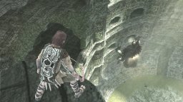 Ico / Shadow Of The Colossus   © Sony 2011   (PS3)    2/7