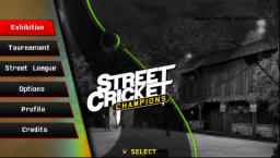 Street Cricket Champions (PSP)   © SIEE 2010    3/6