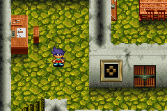 Bouken Yuuki Pluster World: Densetsu No Plust Gate (GBA)   © Takara 2003    3/3