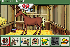 Let's Ride! Sunshine Stables (GBA)   © THQ 2003    3/3