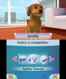 Cats & Dogs: Pets At Play (3DS)   © Dtp Entertainment 2012    1/3