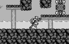 Buffers Evolution (WS) &nbsp; &copy; Bandai 1999 &nbsp;  6/6