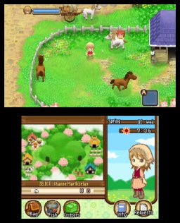 Harvest Moon: The Tale Of Two Towns (3DS)   © Natsume 2011    2/4