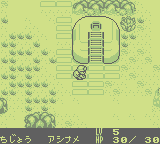 Kaseki Sousei Reborn (GB)   © Starfish 1998    2/3