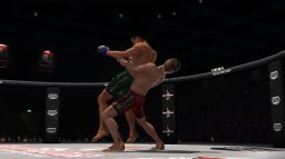 Bellator: MMA Onslaught (X360)   © 345 Games 2012    2/3