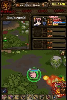 The Lost Town: The Jungle (NDS)   © Circle Entertainment 2012    2/3