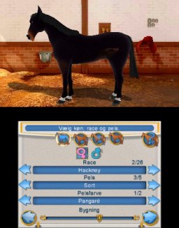 Horse & Pony: Rivals   © Dtp Entertainment 2012   (3DS)    2/3