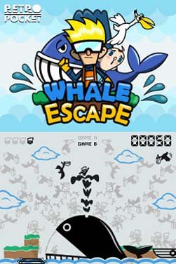 Retro Pocket (NDS)   © UFO Interactive 2012    2/3