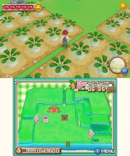 Harvest Moon: A New Beginning (3DS)   © Marvelous AQL 2012    5/6