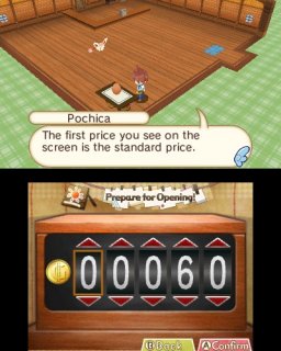 Hometown Story (3DS)   © Natsume 2013    1/3