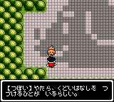 Gonta No Okiraku Daibouken (GBC)   © Lay-Up 2000    3/3