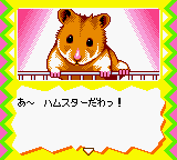 Nakayoshi Pet Series 5: Kawaii Hamster 2 (GBC)   © MTO 2001    2/3