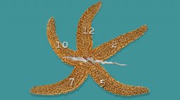 Clock 24-7 (X360)   © Schmaltzy Boy 2009    3/3